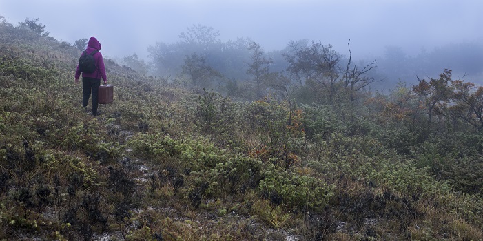 Traumdeutung Verfolgung